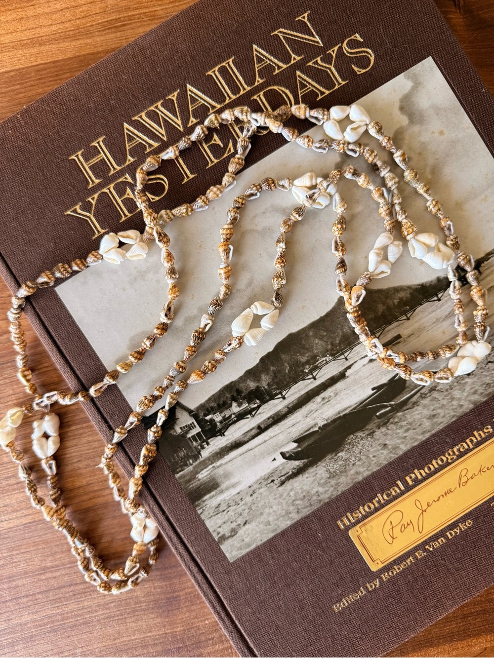 Two Long Seashell Leis Necklace Decor Beach Hawaii Tropical